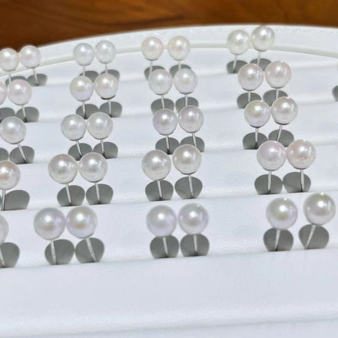 5-6mm Akoya White Pearl Stud Earrings - Sterling Silver