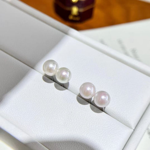 5-6mm Akoya White Pearl Stud Earrings - Sterling Silver