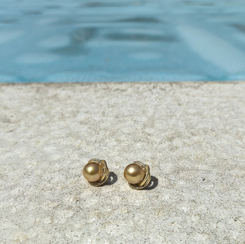 Rose Elegnace Golden South Sea Pearl Earrings