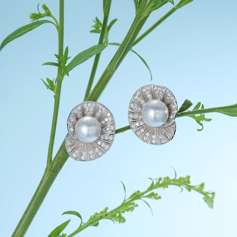 Seashell Freshwater Pearl Ear Stud Earrings